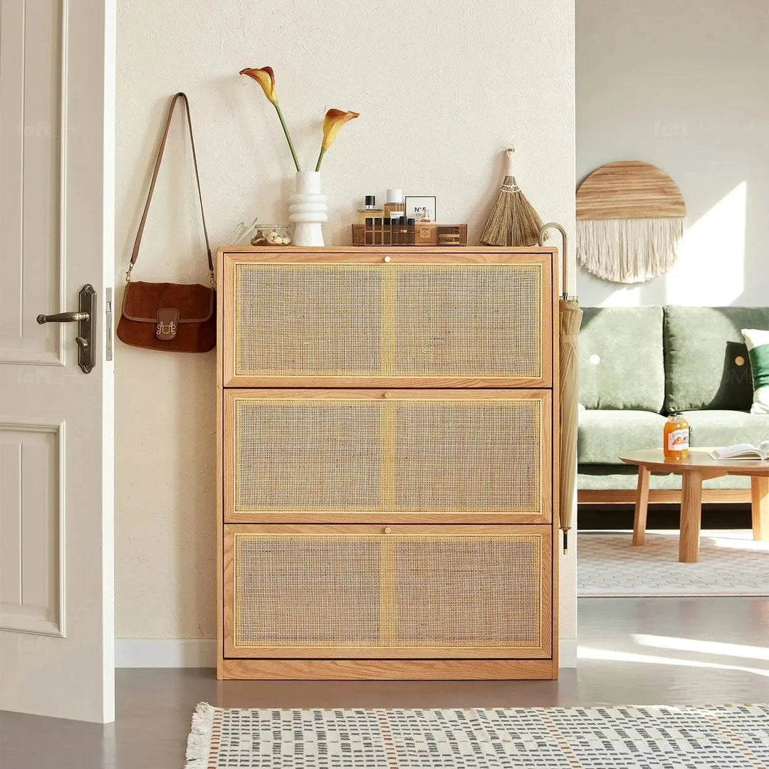 Rattan Shoe Cabinets