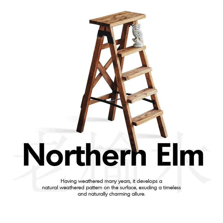 Rustic elm wood ladder elevate elm in still life.