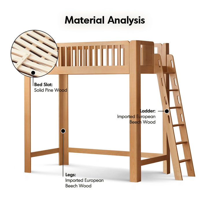 Scandinavian beech wood kids bunk bed with staircase lofty environmental situation.