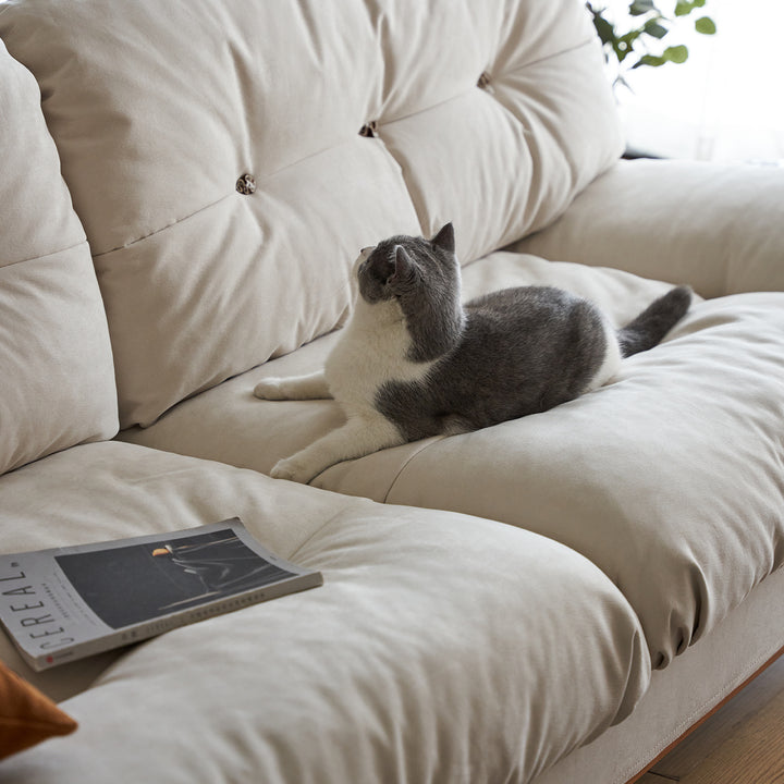 Scandinavian cat scratch resistant fabric 2 seater sofa nimbus conceptual design.