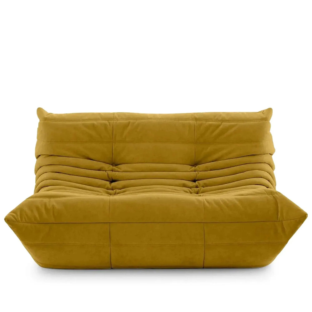 Contemporary fabric modular 2 seater sofa cater in white background.