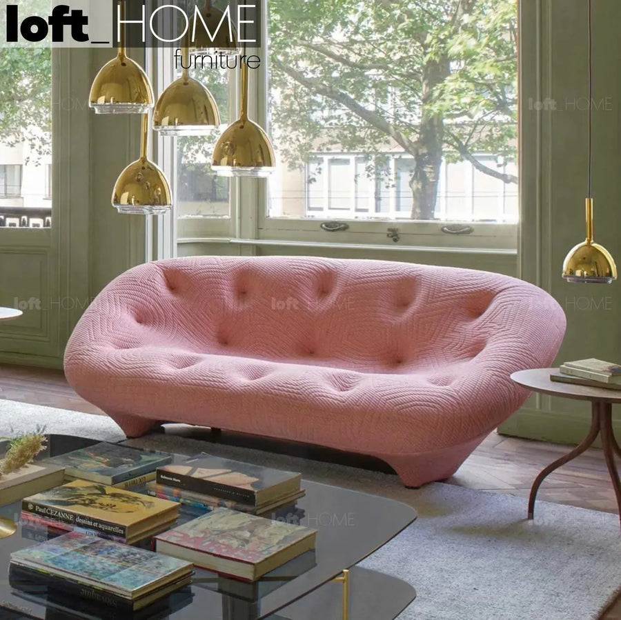 Contemporary fabric 2 seater sofa conch appa primary product view.