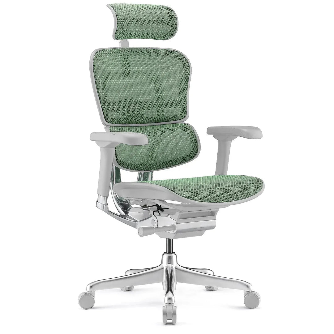 Modern mesh ergonomic office chair grey frame ergohuman e2 conceptual design.