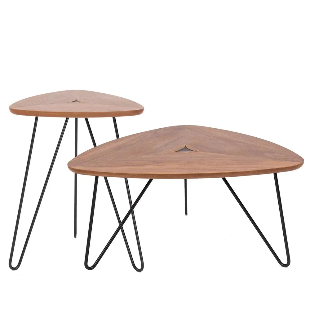 Modern plywood coffee table sara in white background.