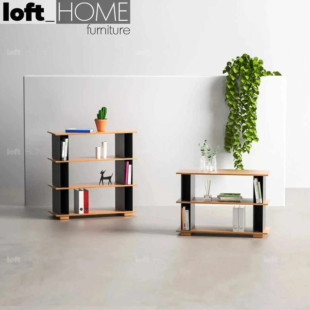 Modern wood bookshelf valeen with context.