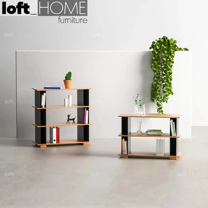 Modern wood bookshelf valeen with context.