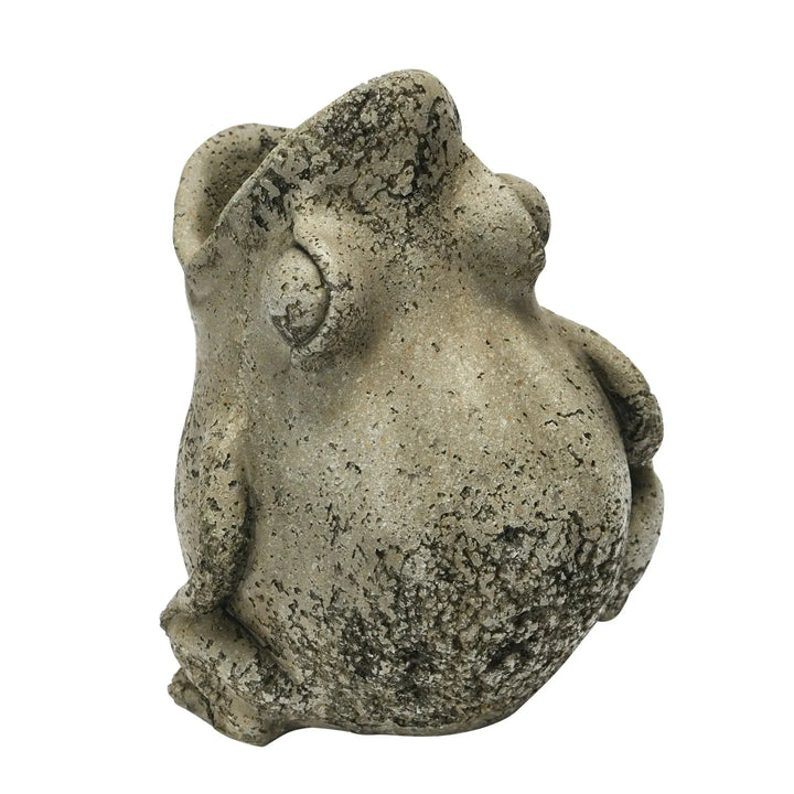 Resin and cement frog planter decor with context.