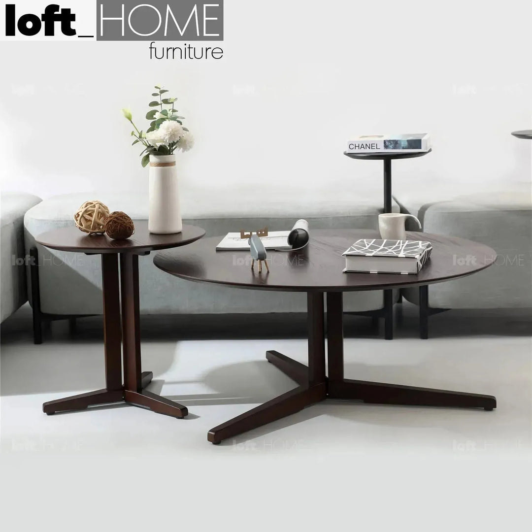 Modern wood coffee table nick in details.