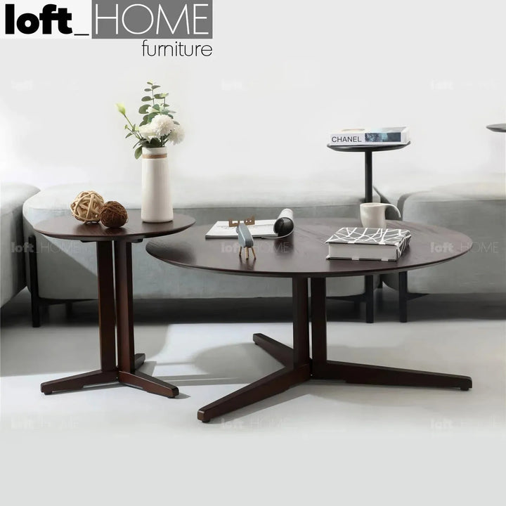 Modern wood coffee table nick in details.