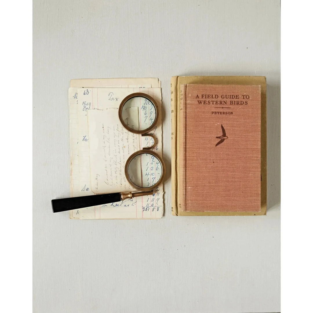 Spectacle magnifying glass decor color swatches.