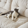 Pet Friendly Sofas