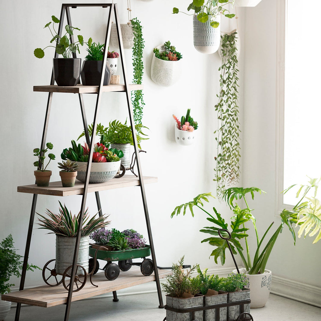 Loft Home outdoor storage solution featuring a ladder-style shelf adorned with vibrant potted plants, enhancing garden or patio decor.