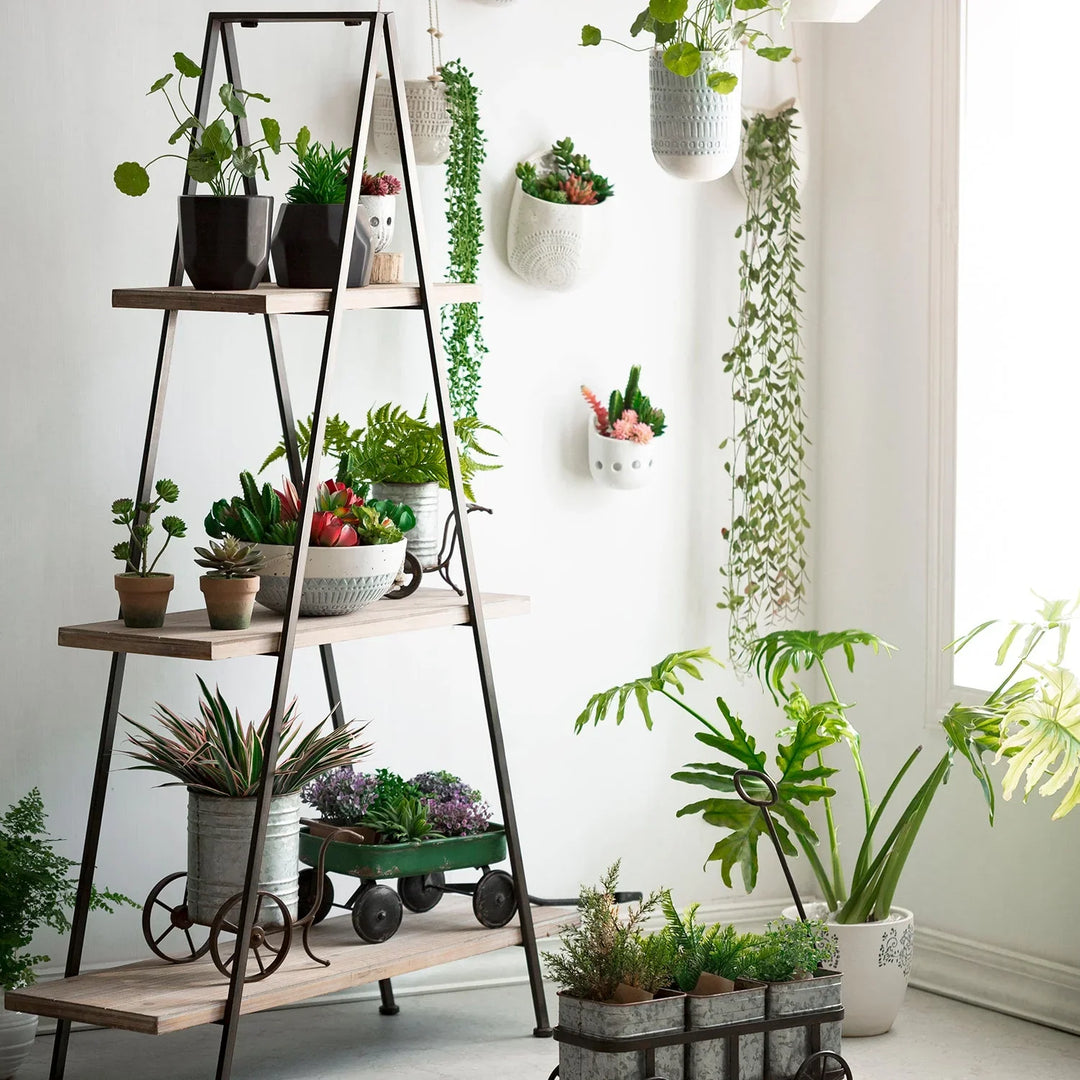 Loft Home outdoor storage solution featuring a ladder-style shelf adorned with vibrant potted plants, enhancing garden or patio decor.