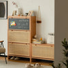 Most Popular Shoe Cabinets