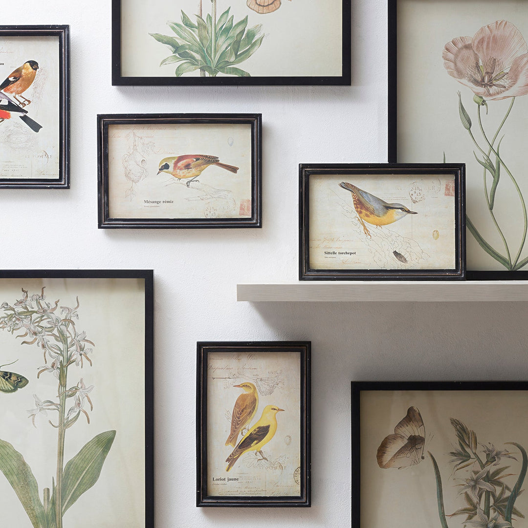 Wall art decor featuring botanical and bird illustrations in black frames, ideal for enhancing modern or vintage interior designs.