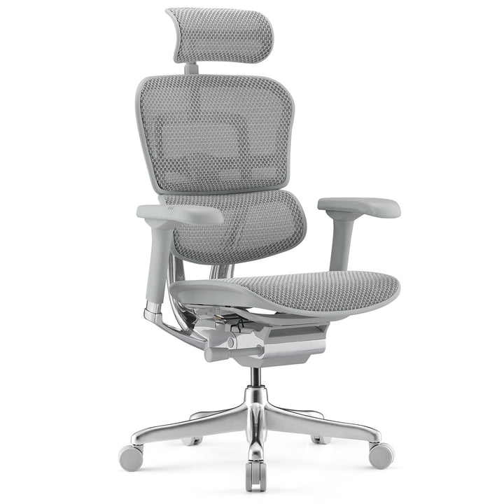 Modern Mesh Ergonomic Office Chair Grey Frame ERGOHUMAN E2 White Background