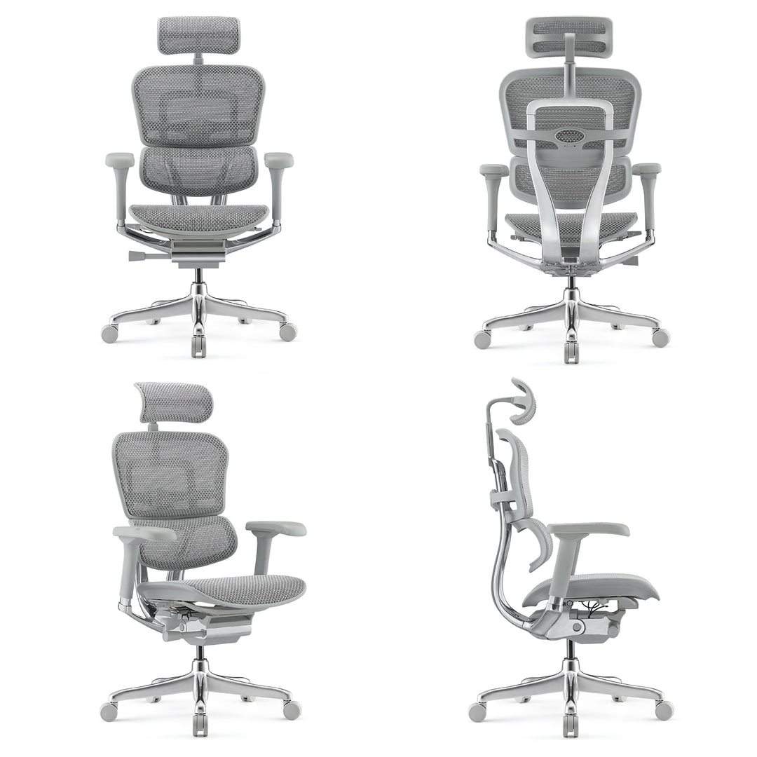 Modern Mesh Ergonomic Office Chair Grey Frame ERGOHUMAN E2 Still Life