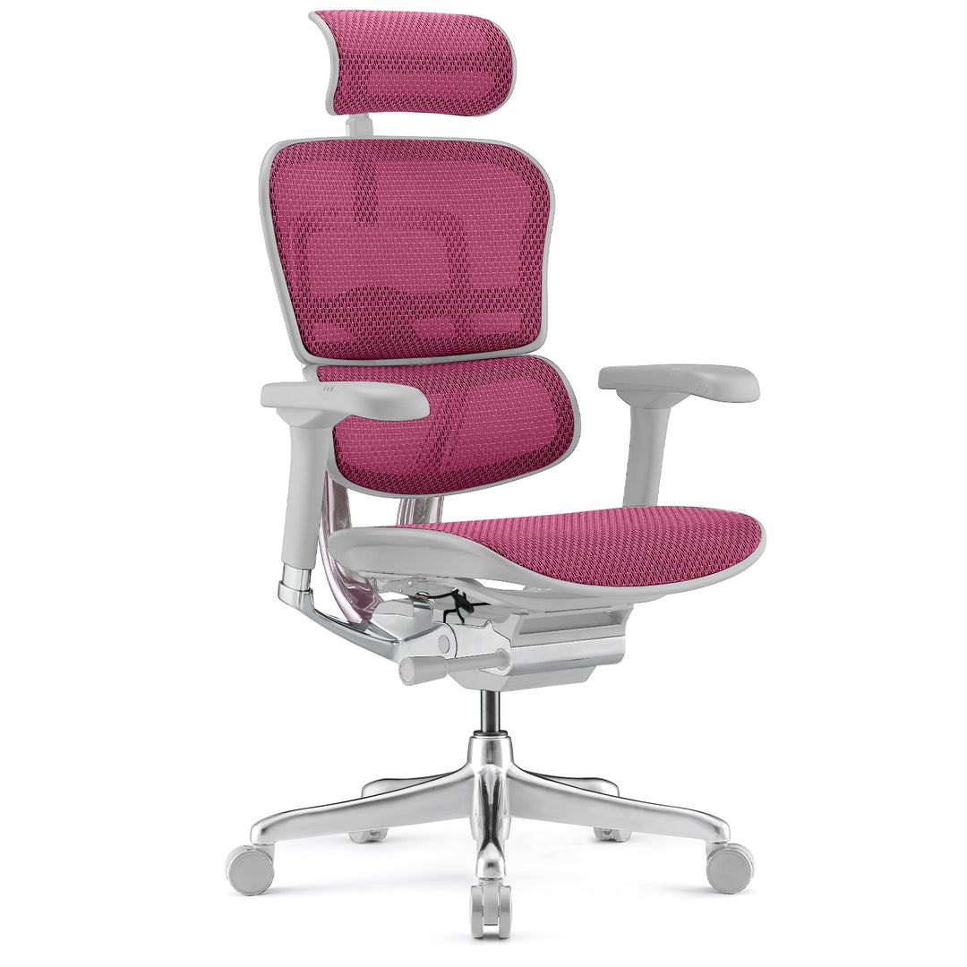 Modern Mesh Ergonomic Office Chair Grey Frame ERGOHUMAN E2 Situational