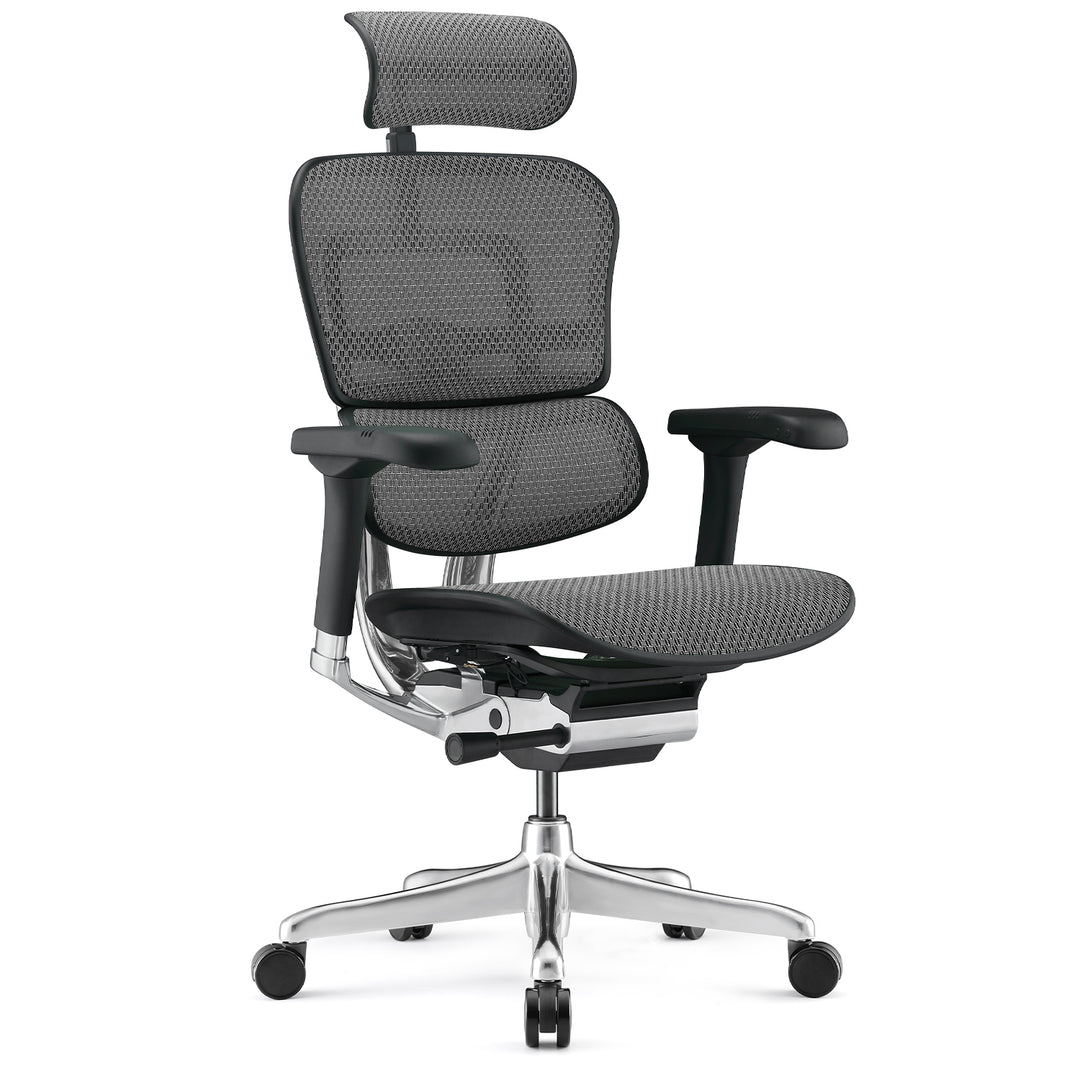 Modern Mesh Ergonomic Office Chair Black Frame ERGOHUMAN E2 Environmental