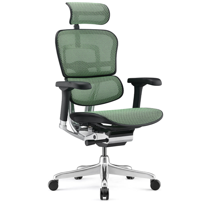 Modern Mesh Ergonomic Office Chair Black Frame ERGOHUMAN E2 Conceptual