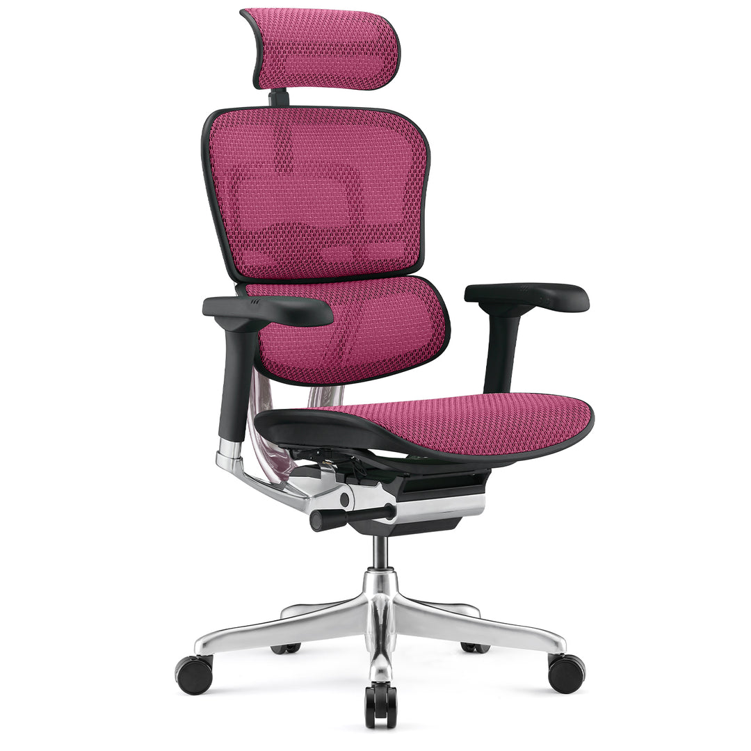 Modern Mesh Ergonomic Office Chair Black Frame ERGOHUMAN E2 Situational
