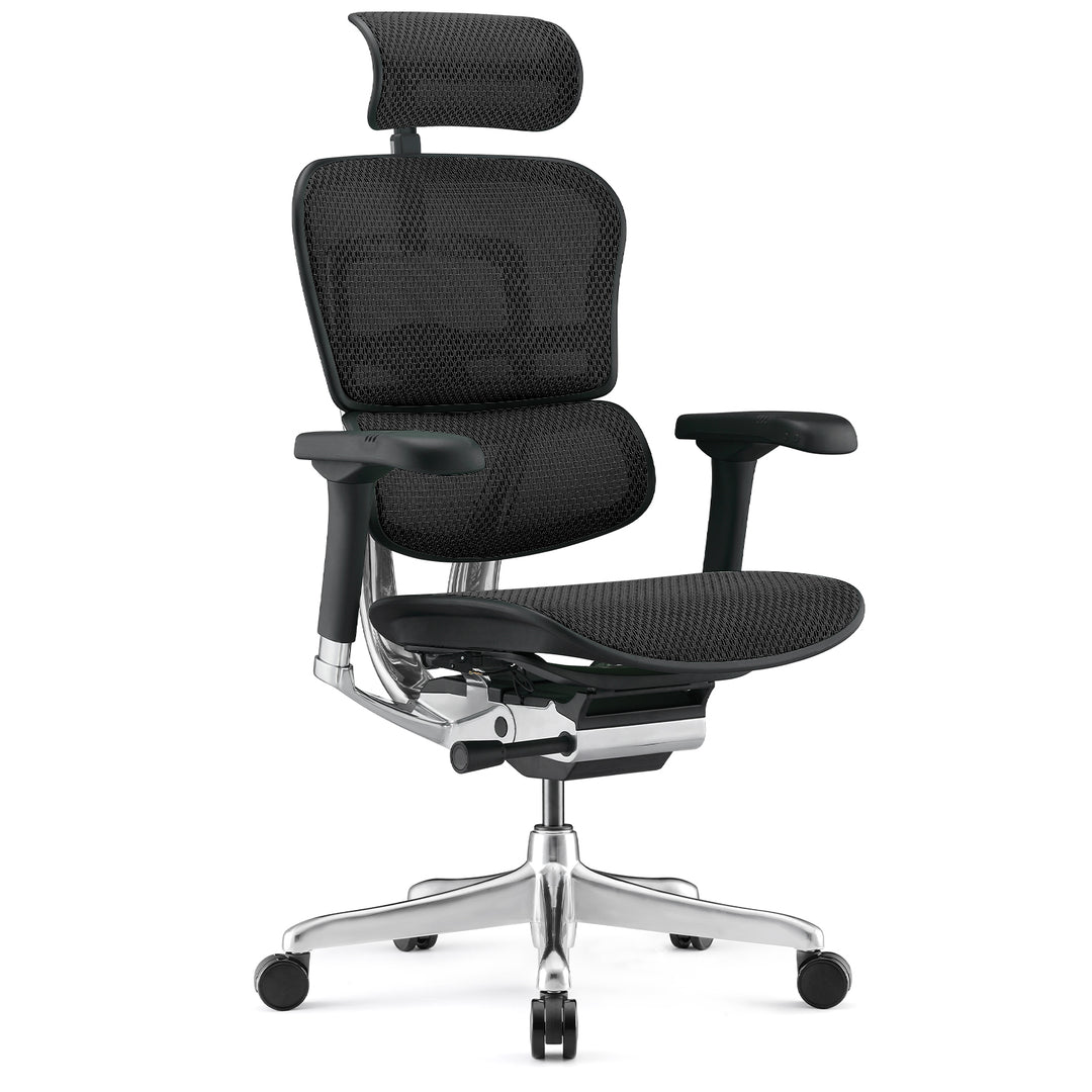 Modern Mesh Ergonomic Office Chair Black Frame ERGOHUMAN E2 Layered