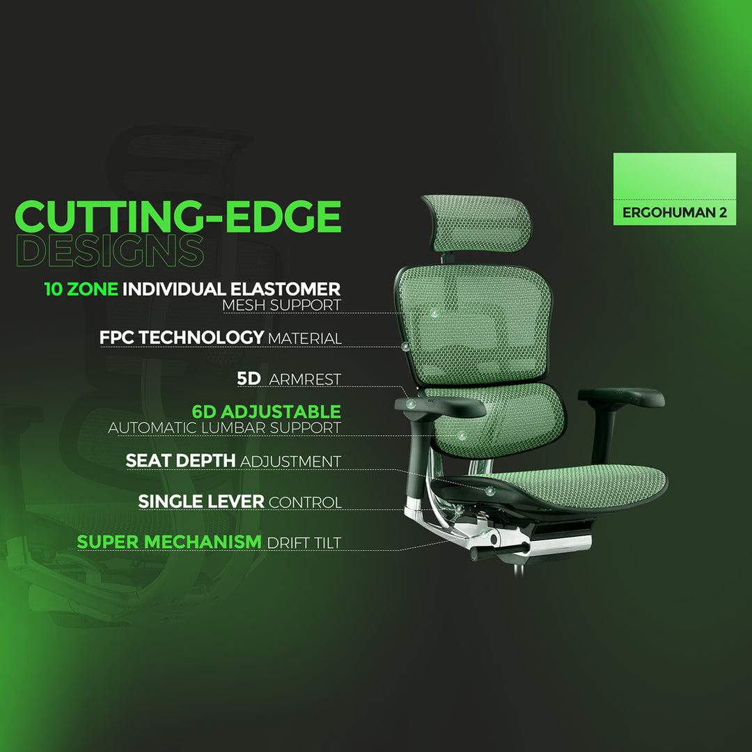 Modern Mesh Ergonomic Office Chair Black Frame ERGOHUMAN E2 Color Variant