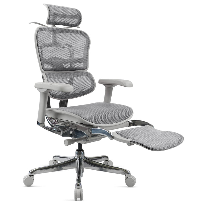 Modern Mesh  Ergonomic Office Chair Grey Frame With Legrest ERGOHUMAN E2 White Background