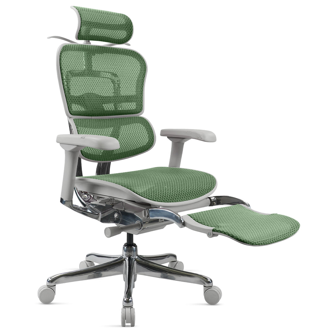 Modern Mesh  Ergonomic Office Chair Grey Frame With Legrest ERGOHUMAN E2 Conceptual