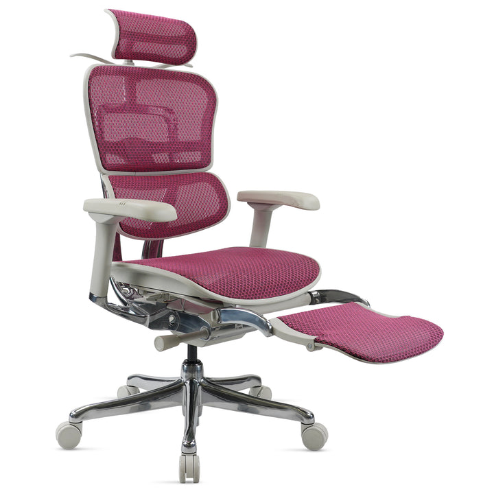 Modern Mesh  Ergonomic Office Chair Grey Frame With Legrest ERGOHUMAN E2 Situational