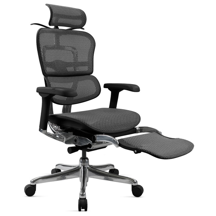 Modern Mesh Ergonomic Office Chair Black Frame With Legrest ERGOHUMAN E2 Environmental