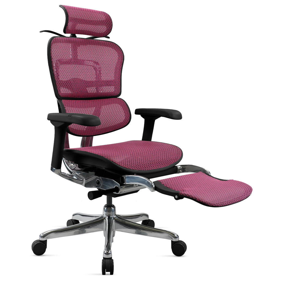 Modern Mesh Ergonomic Office Chair Black Frame With Legrest ERGOHUMAN E2 Situational