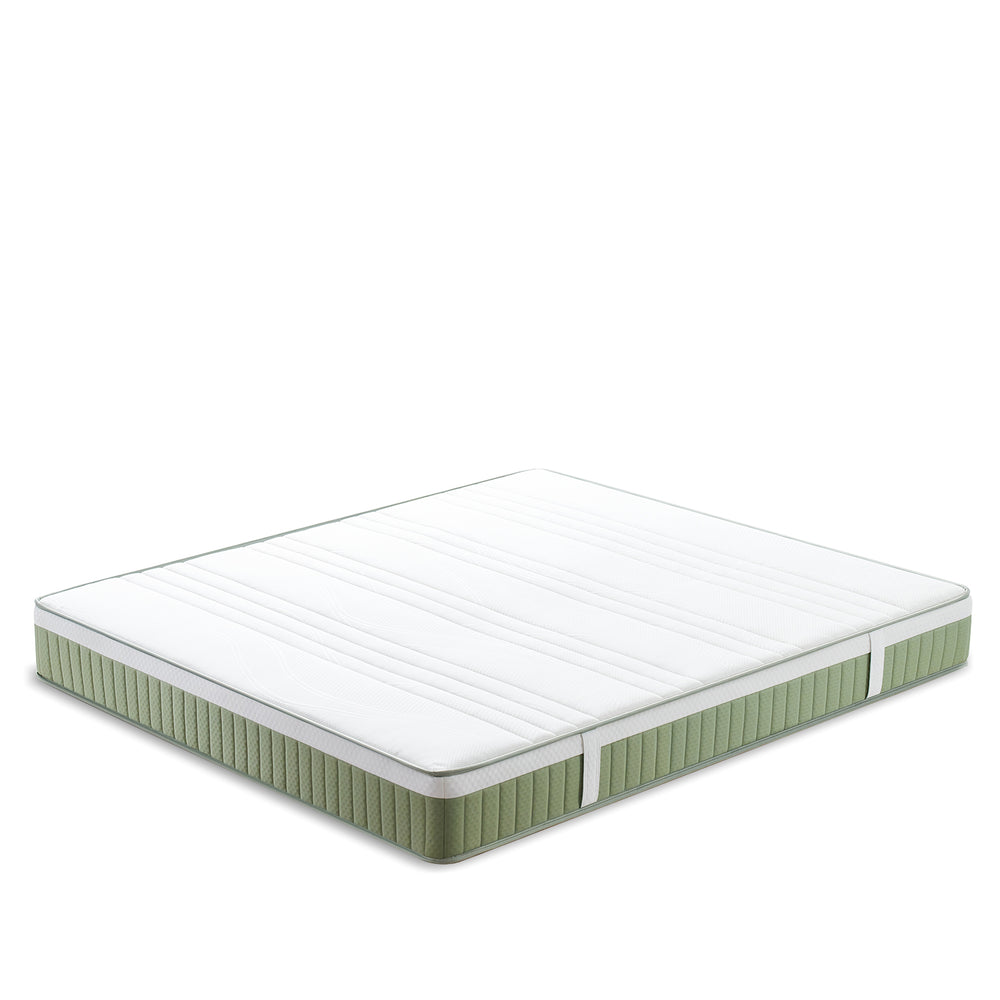 22cm natural latex jute fiber pocket spring double side mattress forest in white background.