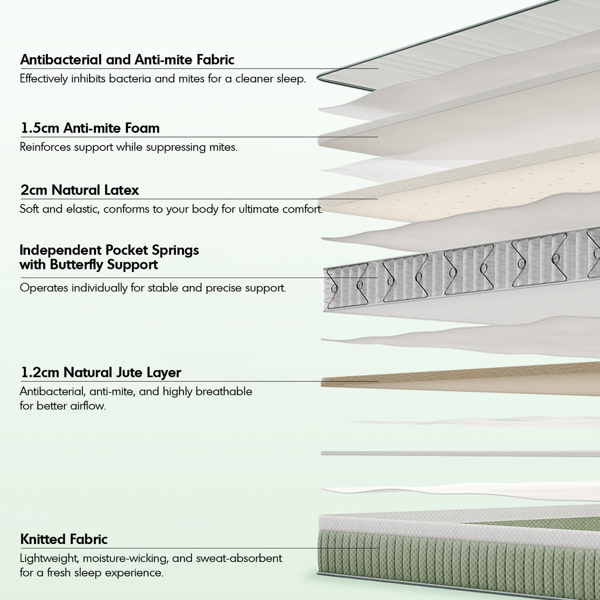 22cm natural latex jute fiber pocket spring double side mattress forest material variants.