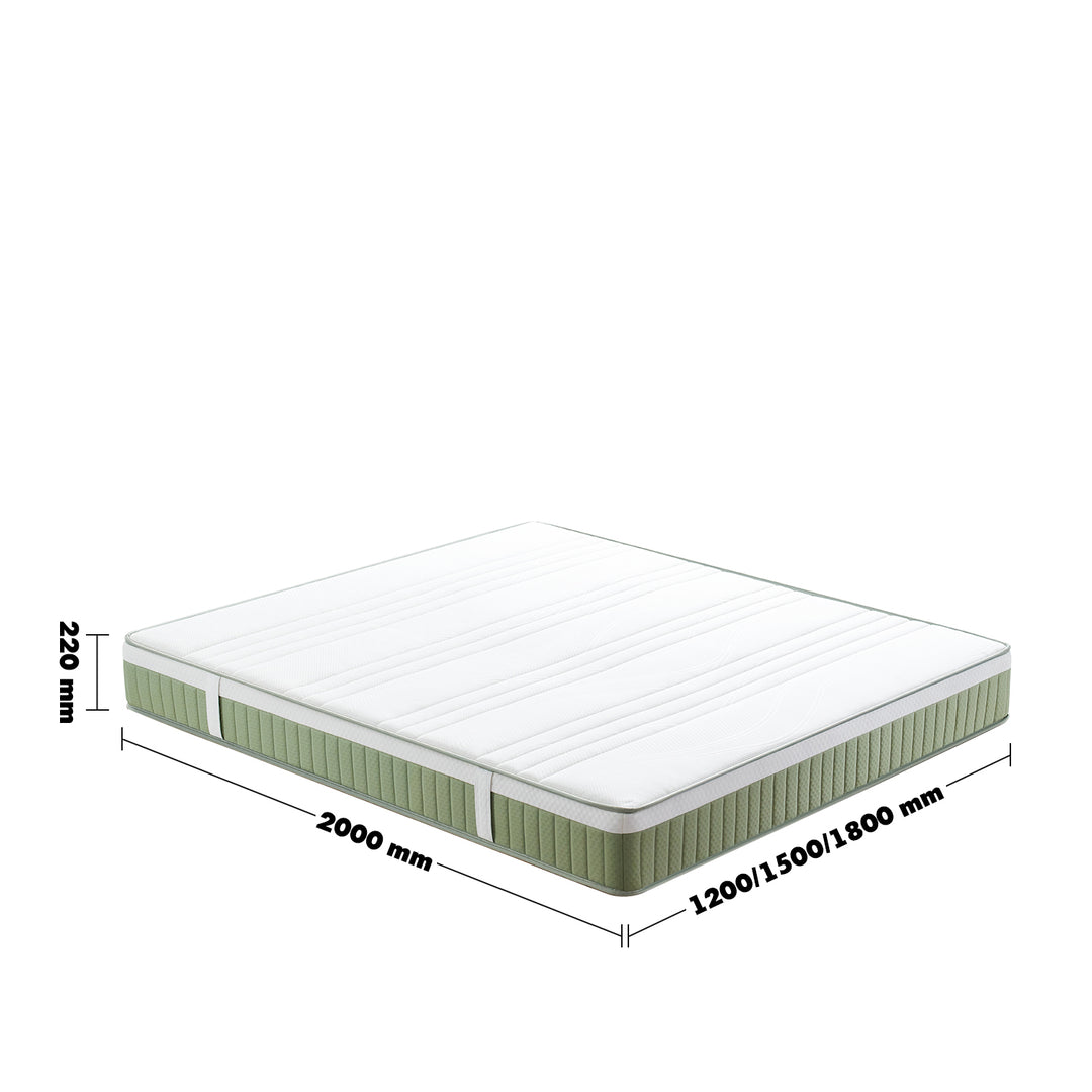 22cm natural latex jute fiber pocket spring double side mattress forest size charts.