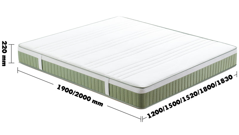 22cm Natural Latex Jute Fiber Pocket Spring Double Side Mattress FOREST Size Chart