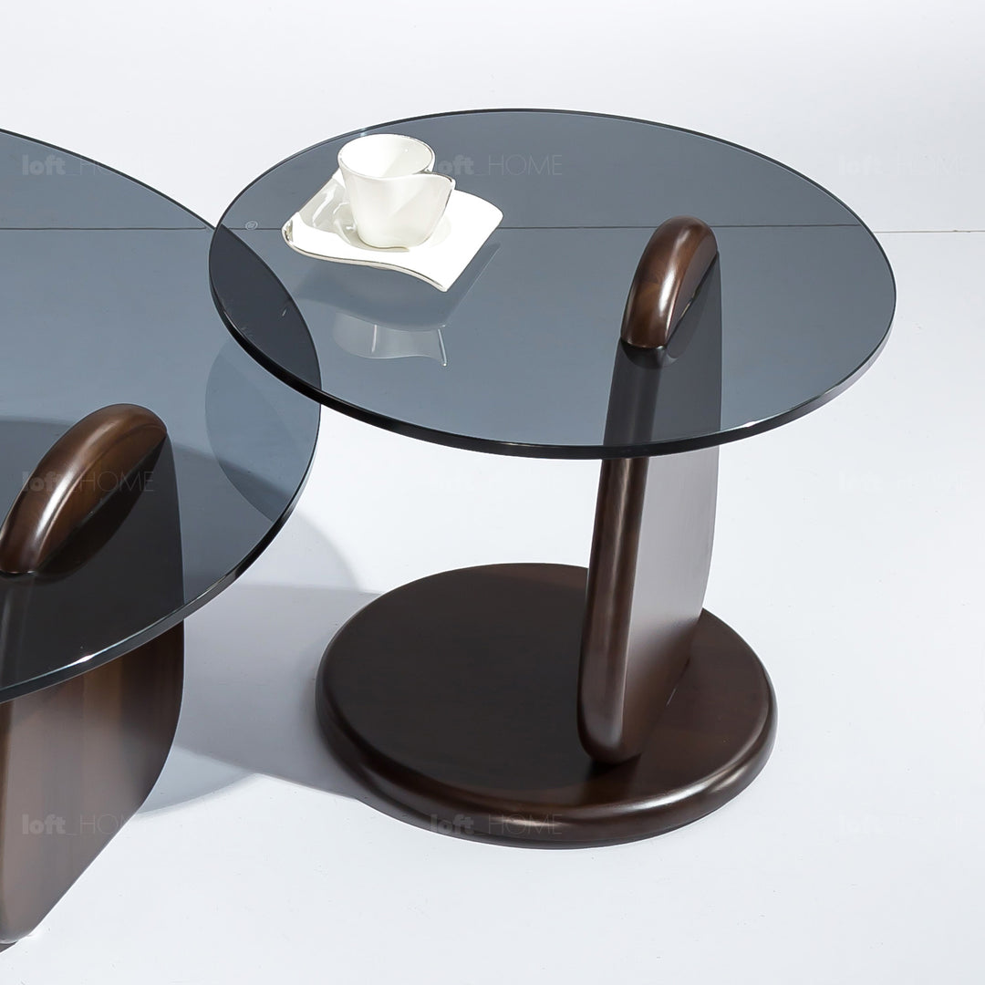 Modern Tempered Glass Coffee Table 2pcs Set SHARK Conceptual