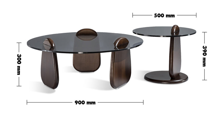 Modern Tempered Glass Coffee Table 2pcs Set SHARK Size Chart