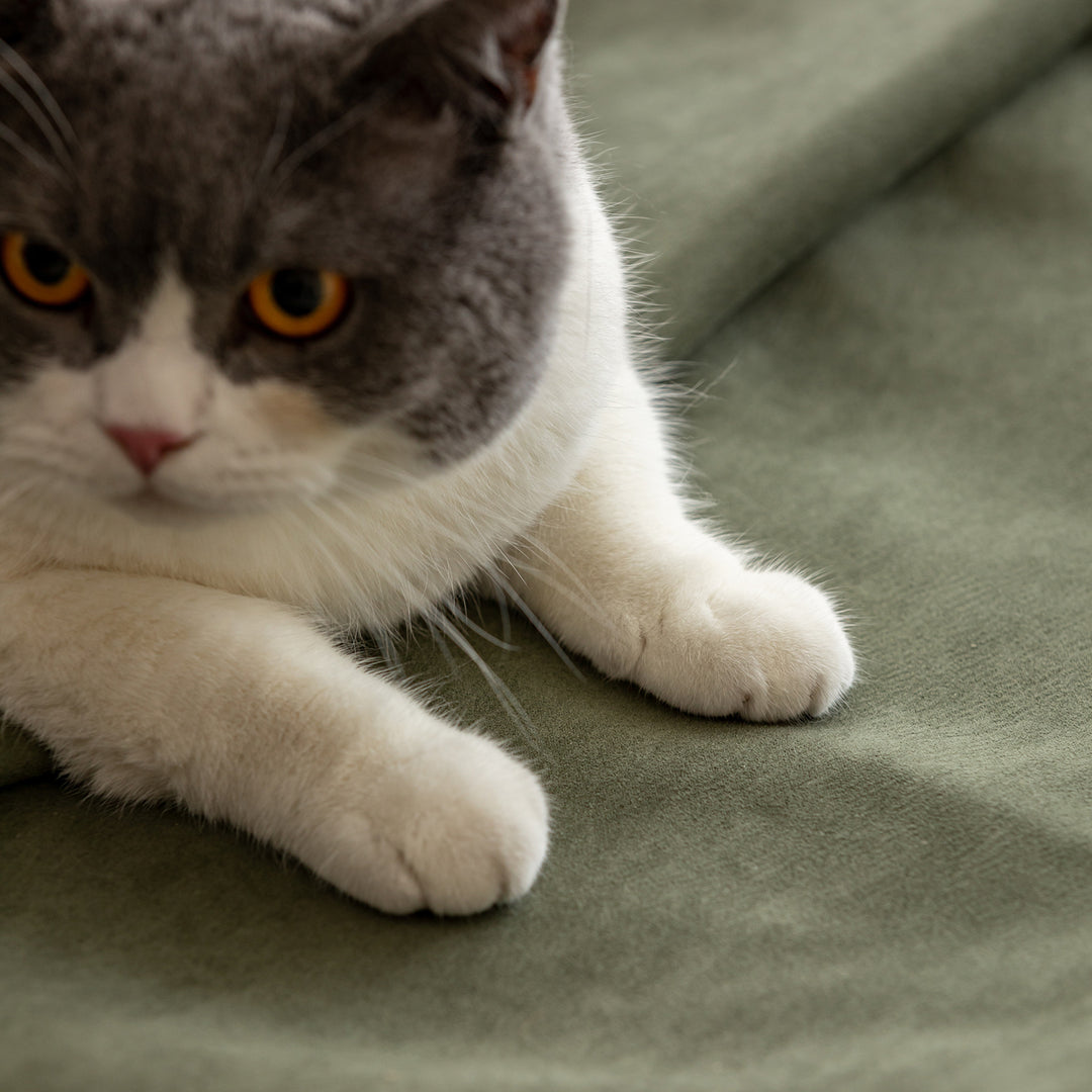 Scandinavian premium cat scratch resistant fabric sofa cover layered structure.