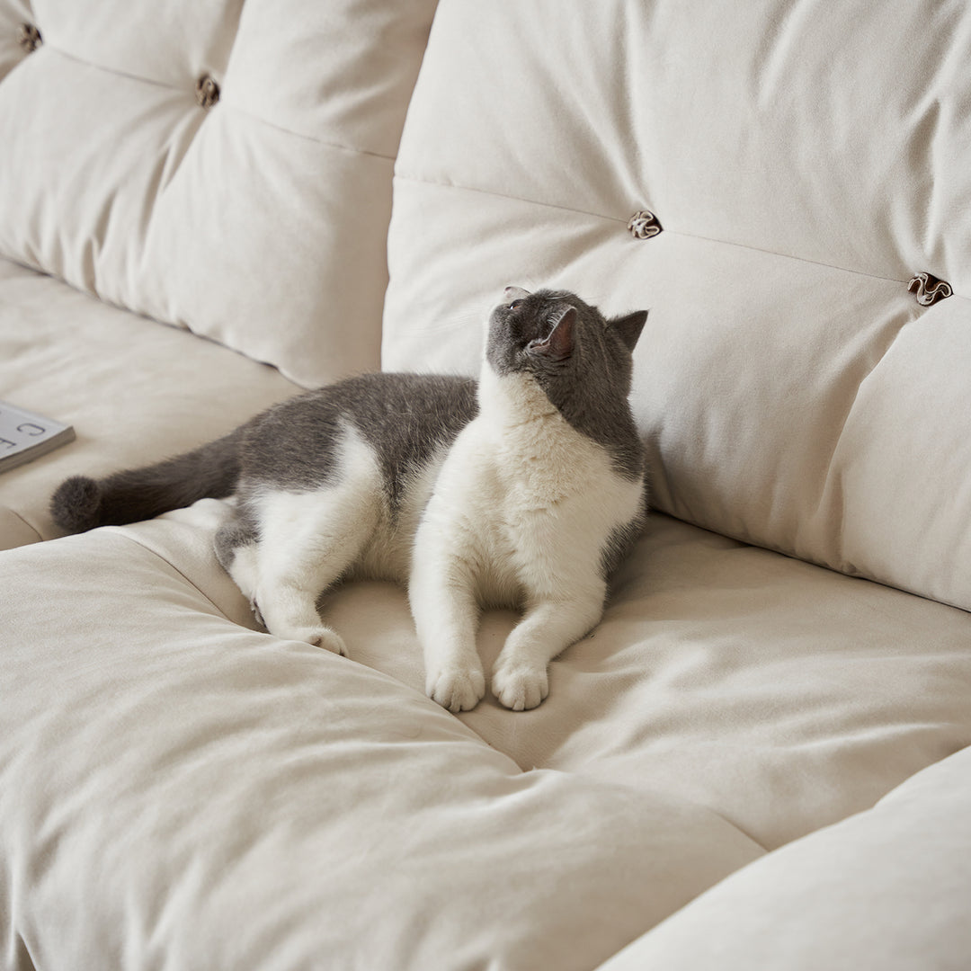 Scandinavian premium cat scratch resistant fabric sofa cover size charts.