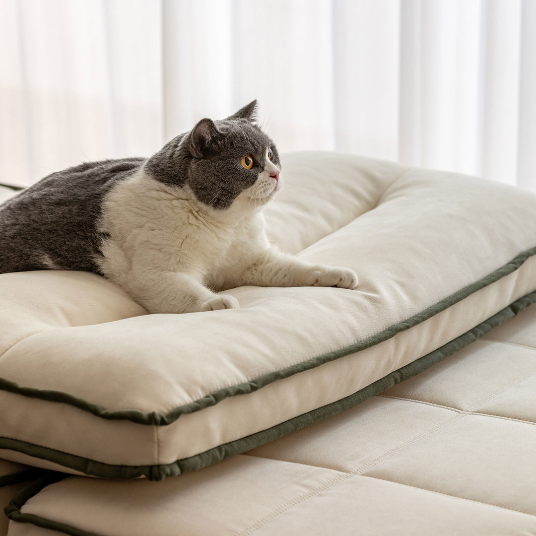 Scandinavian Cat Scratch Resistant Fabric Modular 1 Seater Sofa TIERED