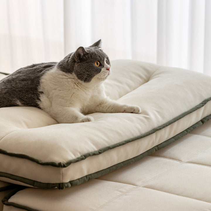 Scandinavian Cat Scratch Resistant Fabric Modular 1 Seater Sofa TIERED