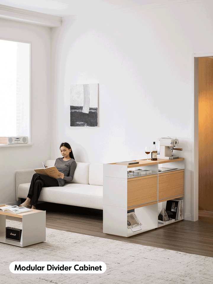 Minimalist Ash Wood Veneer Modular Cabinet AESOP