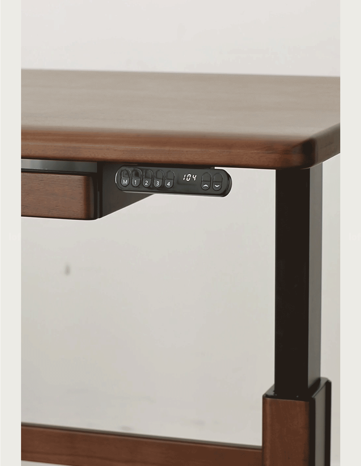 Japandi Walnut Wood Electric Height Adjustable Study Table CLOUD LIFTING Good to Know - 8