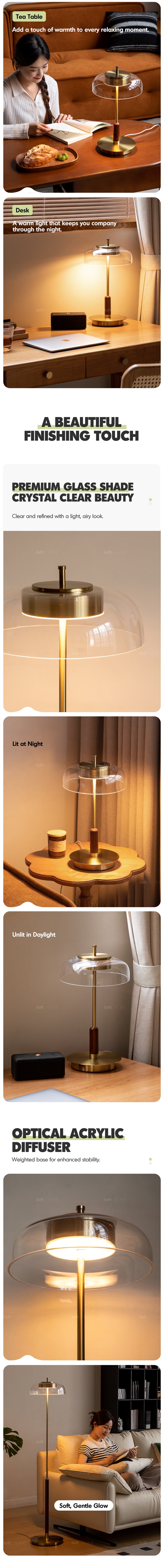 Bauhaus Brass Table Lamp DREAM More Details and Instruction_2