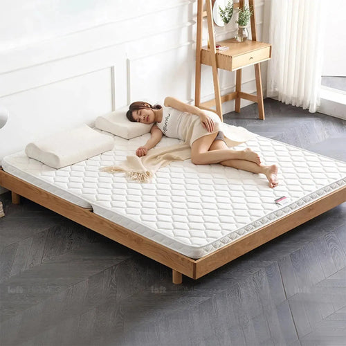 8cm Coconut Palm Foldable Mattress SIMI Good to Know Preview-1
