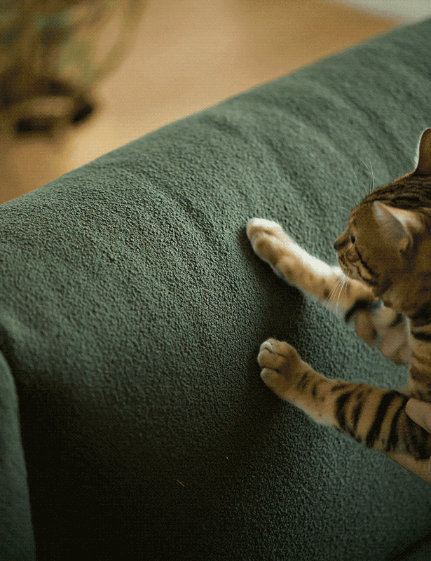 Scandinavian premium boucle fabric sofa cover in real life style.