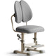 Ergonomic Office Chairs