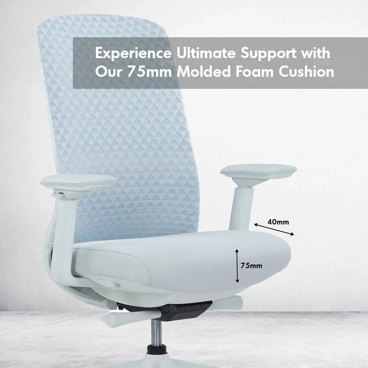 Modern mesh ergonomic office chair ares high in panoramic view.