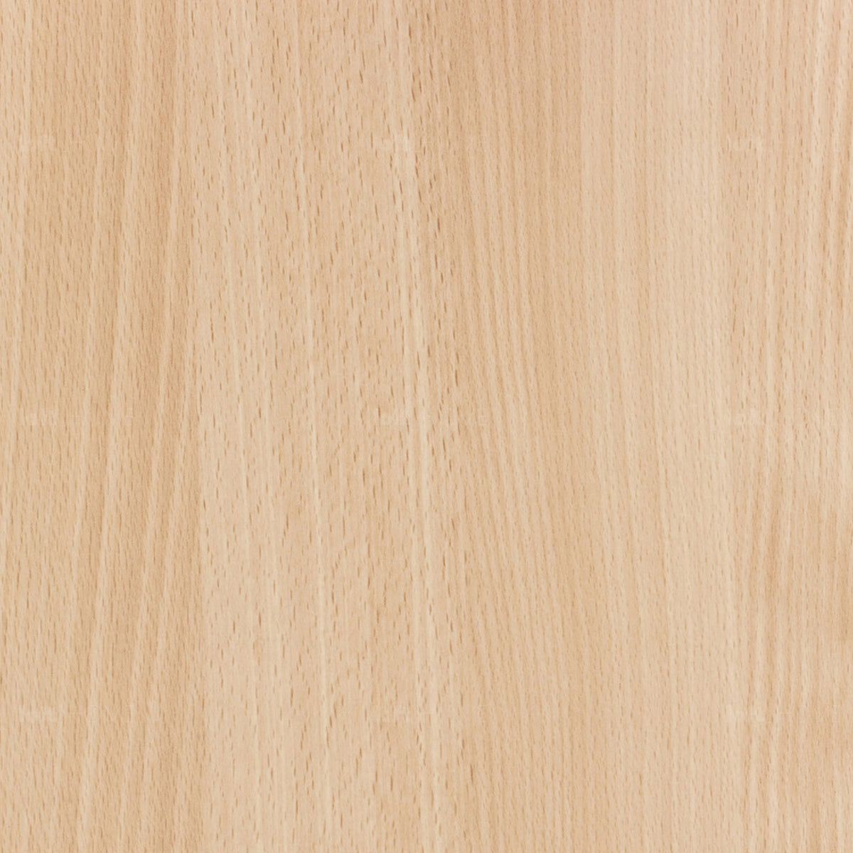 Scandinavian beech wood dining chair poppy color swatches.